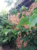 Аукцион по продаже земельного участка и нежилого здания, расположенных по адресу: Оренбургская область, г Бузулук, ул Ватутина, д 60